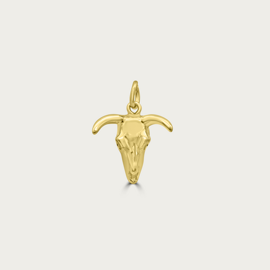 The Bull of the Canyon Charm